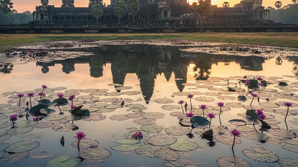 Traveller outside the Angkor temples in Cambodia checking their phone for signal