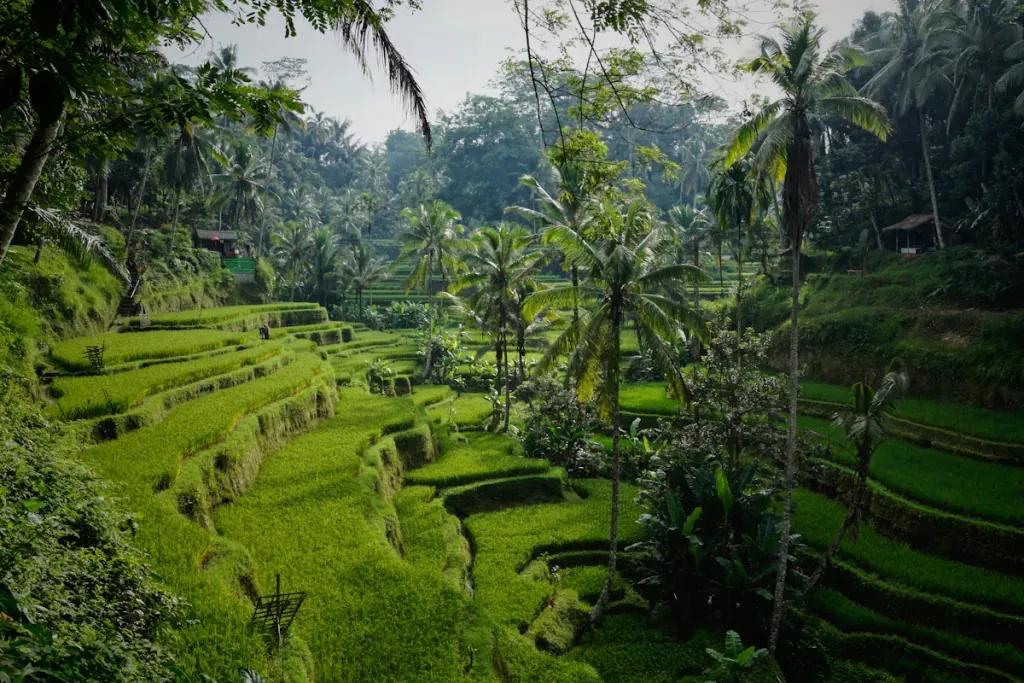 eSIM Batam - Buy prepaid travel data for Batam, Indonesia