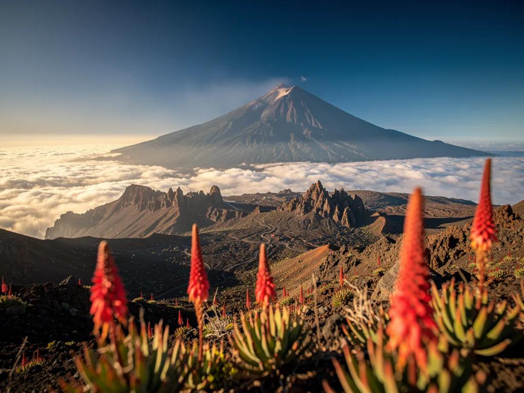 eSIM Tenerife - Buy prepaid travel data for Tenerife, Spain