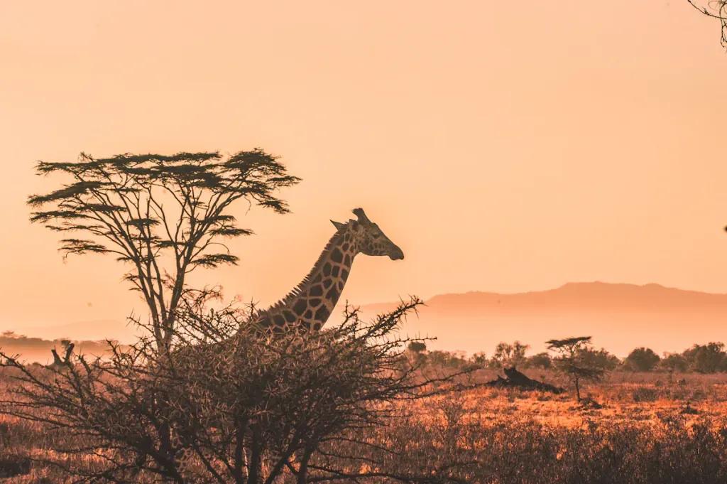 Ethiopia travel destination - Buy eSIM Ethiopia for mobile internet