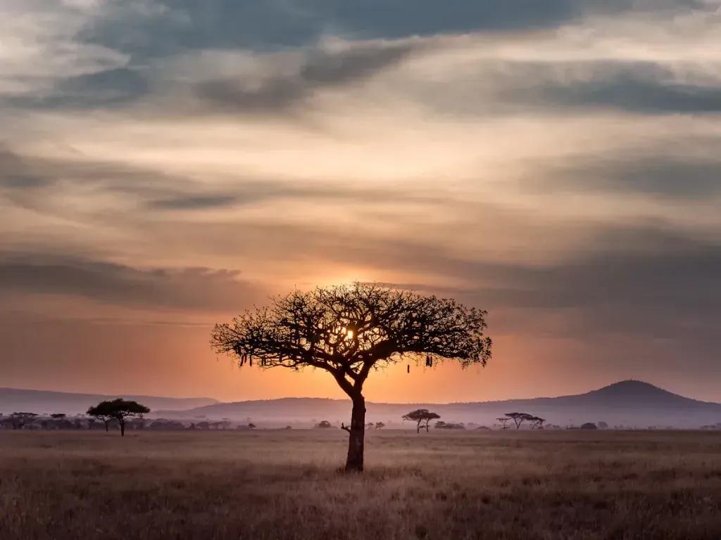 eSIM Arusha - Buy prepaid travel data for Arusha, Tanzania