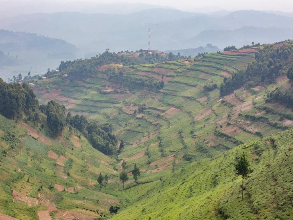 Uganda travel destination - Buy eSIM Uganda for mobile internet
